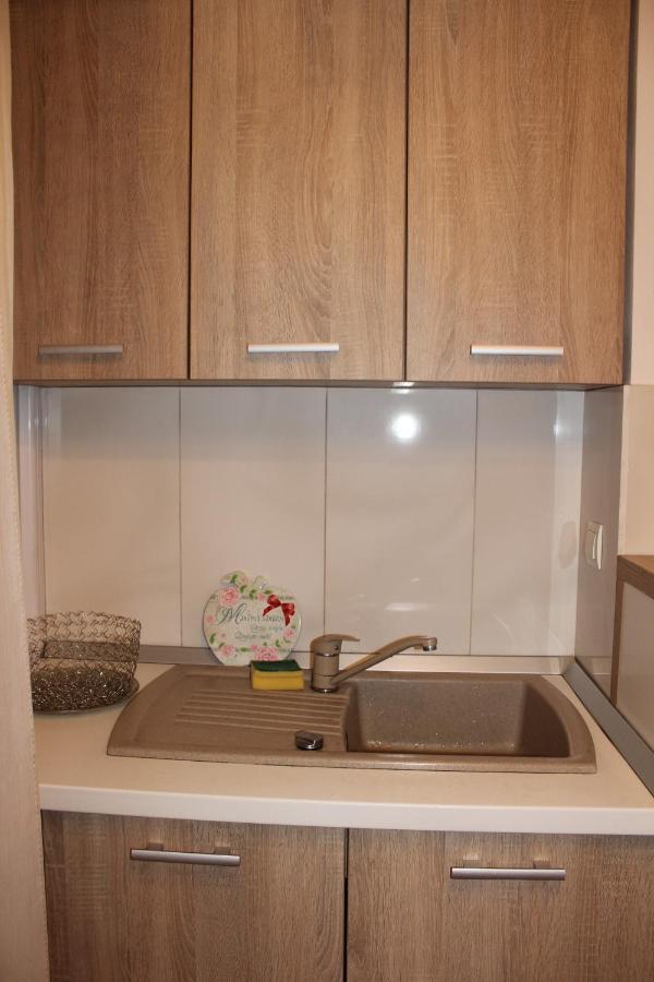 Central Cosy Apart Oradea Apartman Kültér fotó
