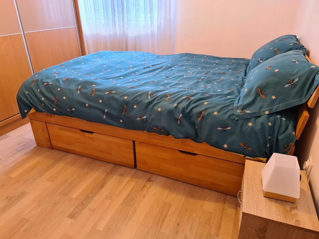 Central Cosy Apart Oradea Apartman Kültér fotó