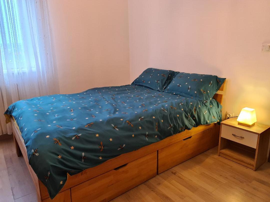 Central Cosy Apart Oradea Apartman Kültér fotó