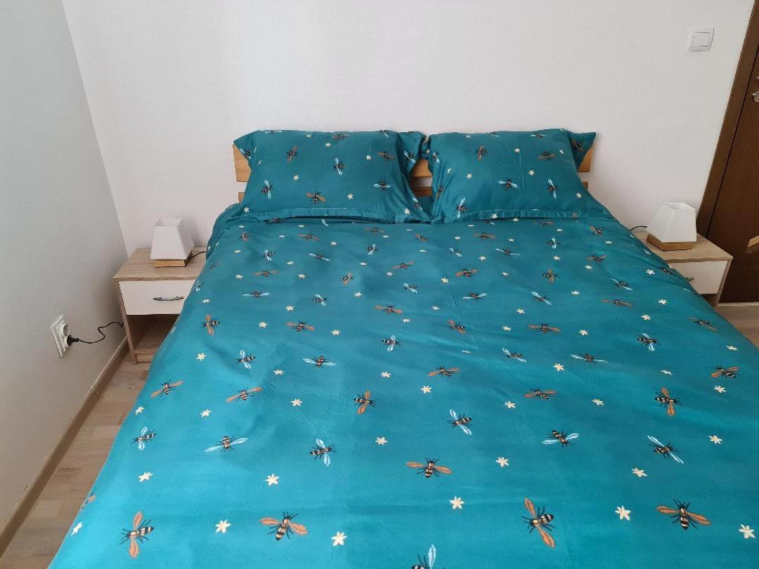Central Cosy Apart Oradea Apartman Kültér fotó