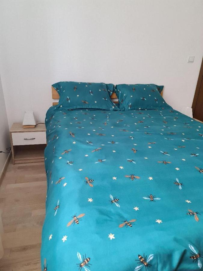 Central Cosy Apart Oradea Apartman Kültér fotó